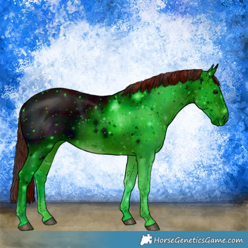 Horse Color:ERROR: UNKNOWN ANOMALY