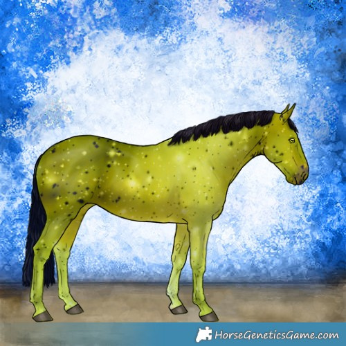 Horse Color:ERROR: UNKNOWN ANOMALY