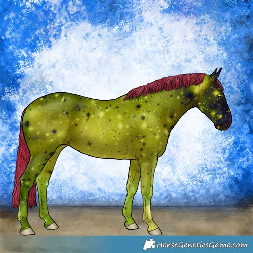 Horse Color:ERROR: UNKNOWN ANOMALY