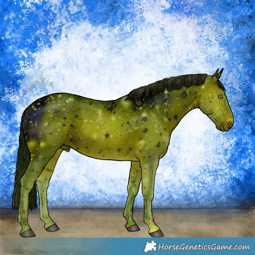 Horse Color:ERROR: UNKNOWN ANOMALY