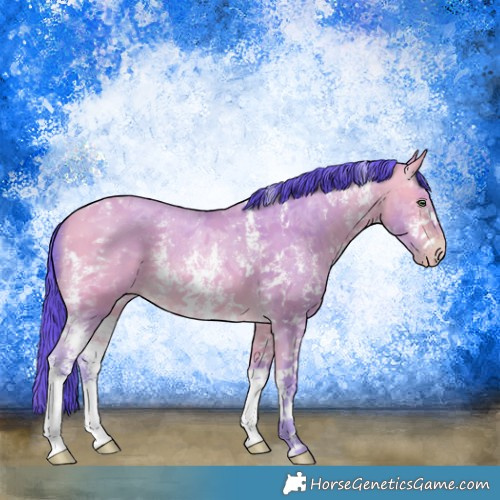Horse Color:Watercolor Amber Cream Champagne Sabino 
