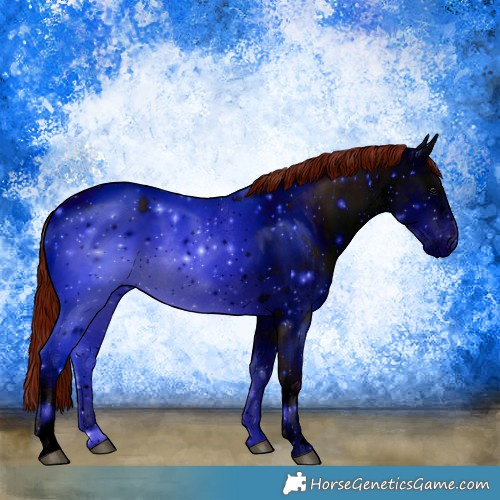 Horse Color:ERROR: UNKNOWN ANOMALY