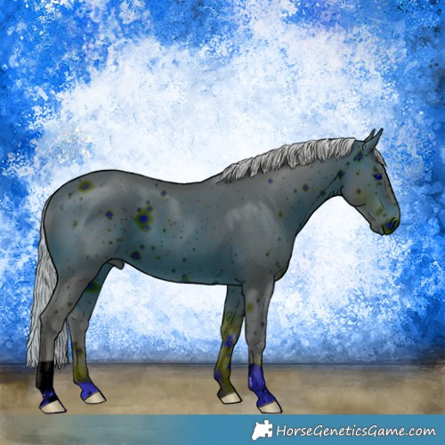 Horse Color:ERROR: UNKNOWN ANOMALY