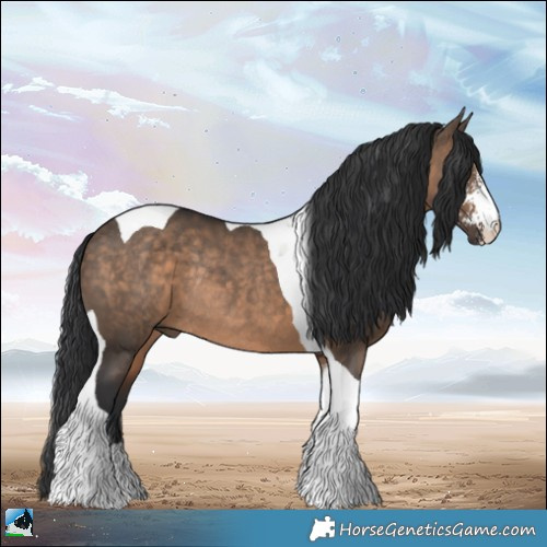 Horse Color:Brown Dun Sabino Tobiano Rabicano 
