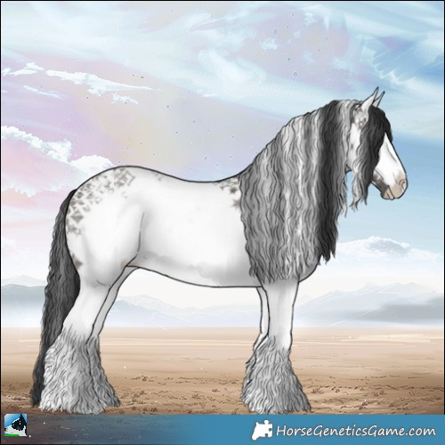 Horse Color:White Spotted Grullo Ice 