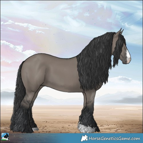 Horse Color:Grullo Mushroom Sabino 