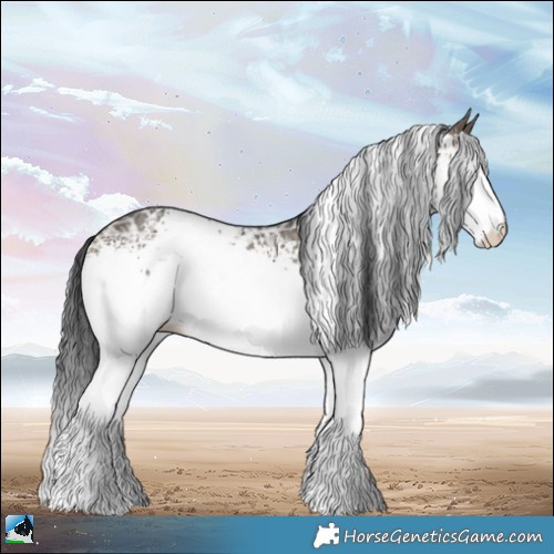 Horse Color:White Spotted Brown Ice Dun 