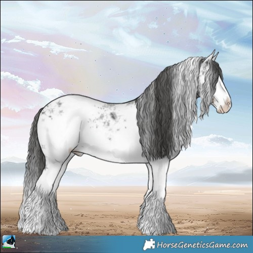Horse Color:White Spotted Liver Chestnut Ice Sabino Splash 