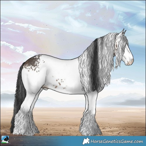 Horse Color:White Spotted Brown Dun Sabino Brindle 