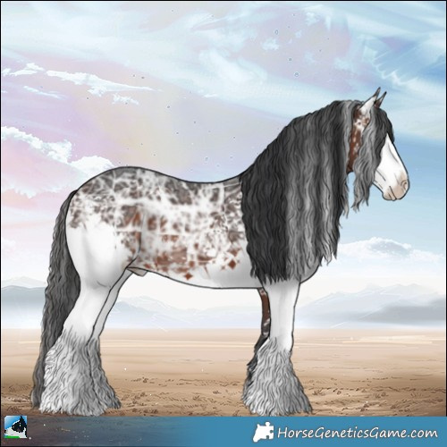 Horse Color:White Spotted Brown Ice 