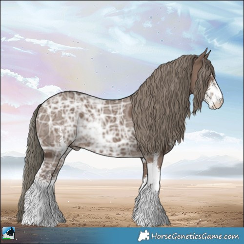 Horse Color:Liver Red Dun Ice Mushroom Sabino 