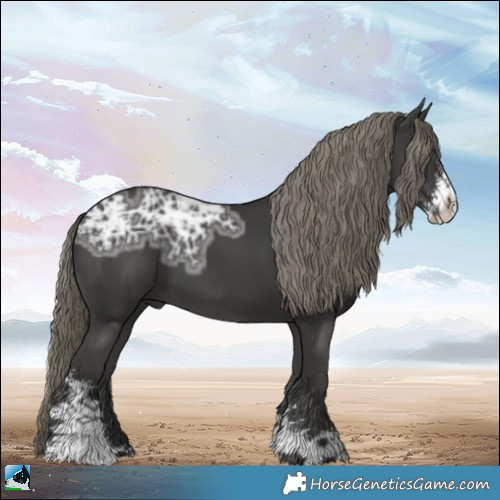 Horse Color:Liver Chestnut Ice Mushroom Sabino 