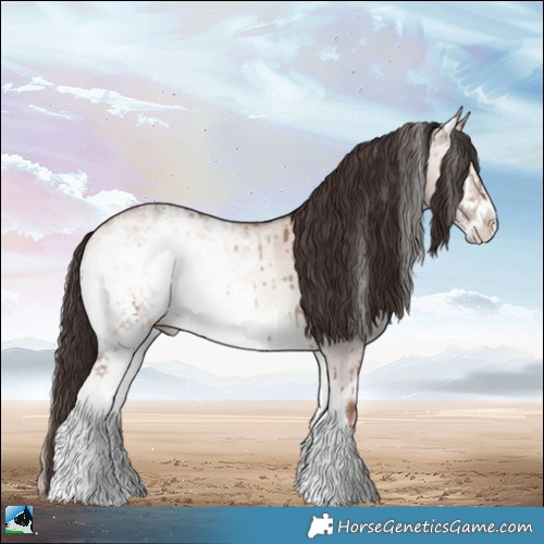 Horse Color:White Spotted Sable Champagne Ice Onyx Mushroom Sabino Brindle 