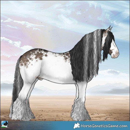 Horse Color:White Spotted Brown Dun 