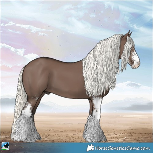 Horse Color:Liver Red Dun Mushroom Sabino 