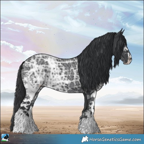 Horse Color:Black Ice Mushroom Sabino 