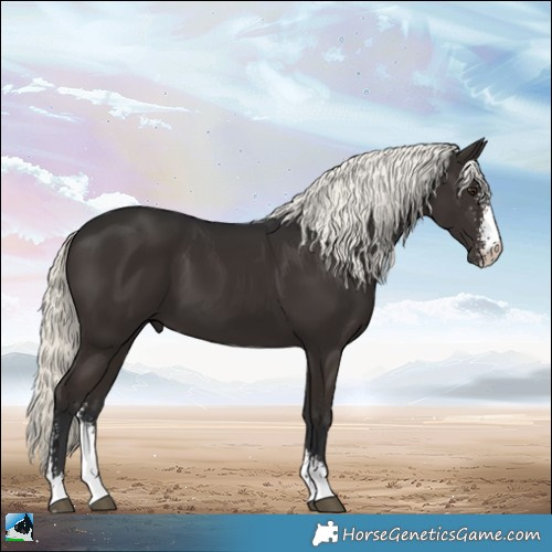 Horse Color:Liver Chestnut Mushroom Sabino 