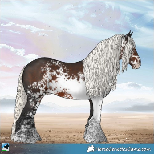 Horse Color:White Spotted Liver Chestnut Mushroom Sabino 