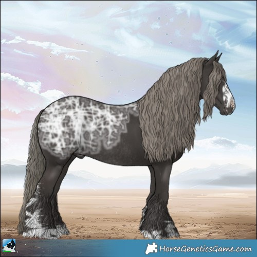 Horse Color:Liver Chestnut Ice Mushroom Sabino Rabicano 