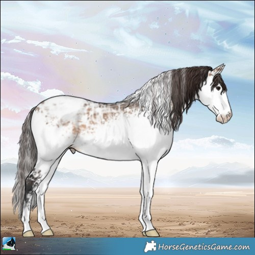 Horse Color:White Spotted Brown Ice Dun Varnish 