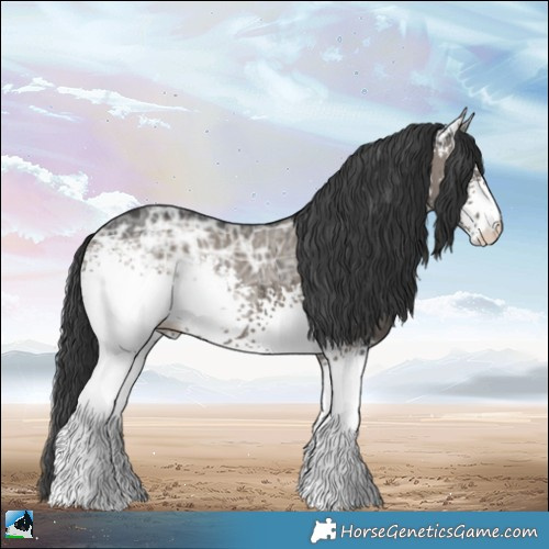 Horse Color:White Spotted Grullo Ice Mushroom Brindle 