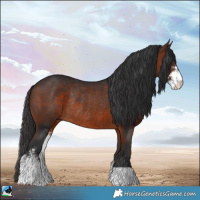 Horse Color:Brown Sabino Rabicano 