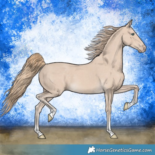 Horse Color:Smoky Creme