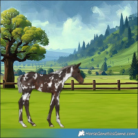Horse Color:White Spotted Silver Brown 