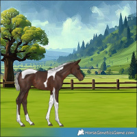 Horse Color:Silver Brown Tobiano Rabicano 