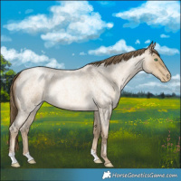 Horse Color:Smoky Blue Roan Pearl 