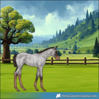 Horse Color:Liver Red Roan Rabicano 