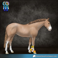 Horse Color:Black Pearl Sabino 