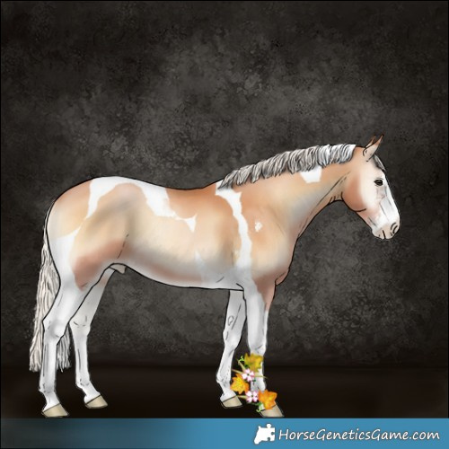 Horse Color:Silver Bay Pearl Onyx Sabino Tobiano 