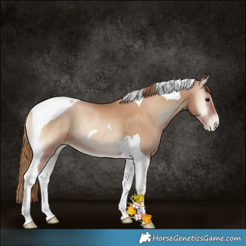 Horse Color:Blue Onyx Pearl Tobiano 