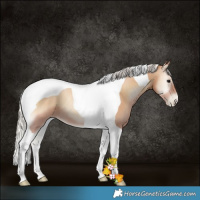 Horse Color:Silver Blue Onyx Pearl Tobiano