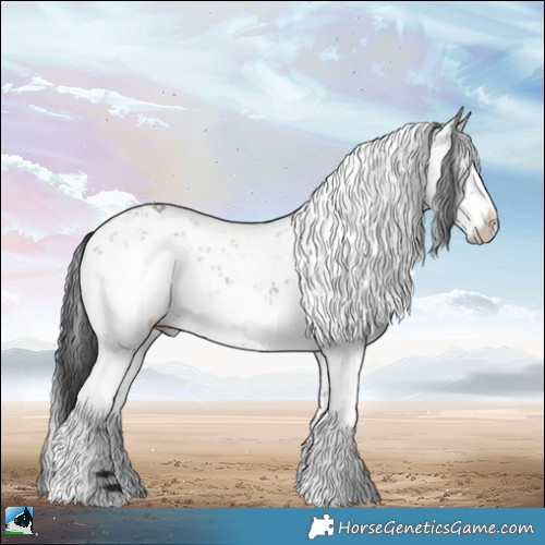 Horse Color:Grullo Sabino 