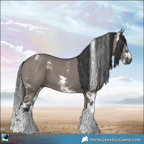 Horse Color:Grullo Mushroom Sabino 