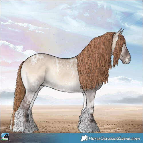 Horse Color:Liver Red Dun Ice Onyx Rabicano 