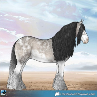 Horse Color:Grullo Ice Onyx Sabino Splash Rabicano 