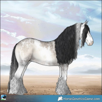 Horse Color:Brown Ice Onyx Mushroom Sabino