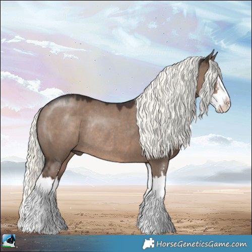 Horse Color:Liver Red Dun Mushroom Sabino Splash Rabicano 