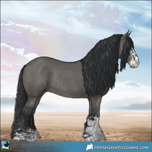 Horse Color:Grullo Sabino Rabicano 