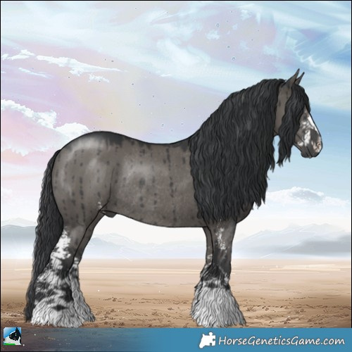 Horse Color:Grullo Mushroom Sabino Rabicano Brindle 