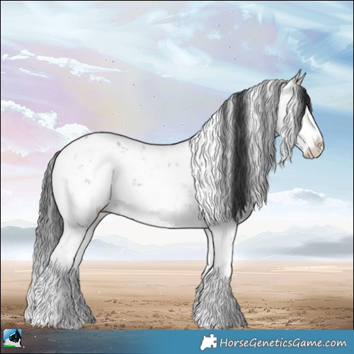 Horse Color:Grullo Onyx Mushroom Sabino Rabicano 