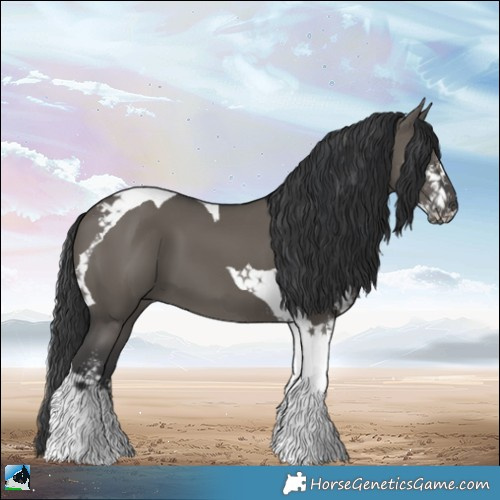Horse Color:Grullo Sabino Tobiano 