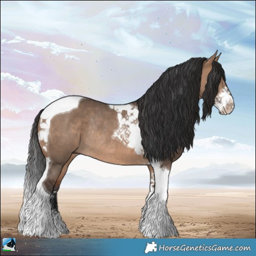 Horse Color:Brown Dun Sabino Tobiano Rabicano 