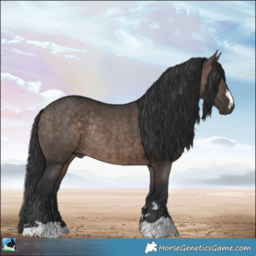 Horse Color:Brown Dun Mushroom Rabicano Brindle 
