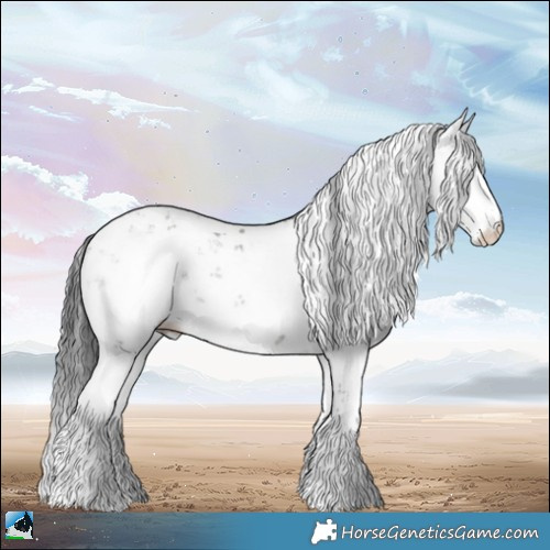 Horse Color:Grullo Mushroom Sabino Rabicano Brindle 