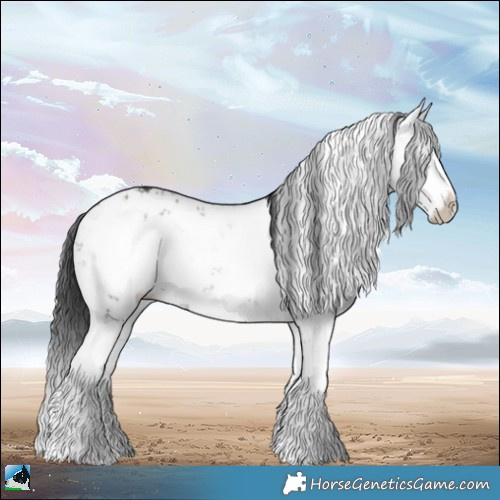 Horse Color:Grullo Sabino Rabicano Brindle 