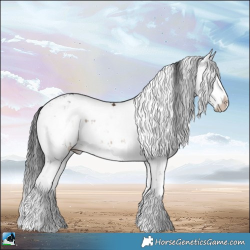 Horse Color:Brown Dun Mushroom Sabino Splash 